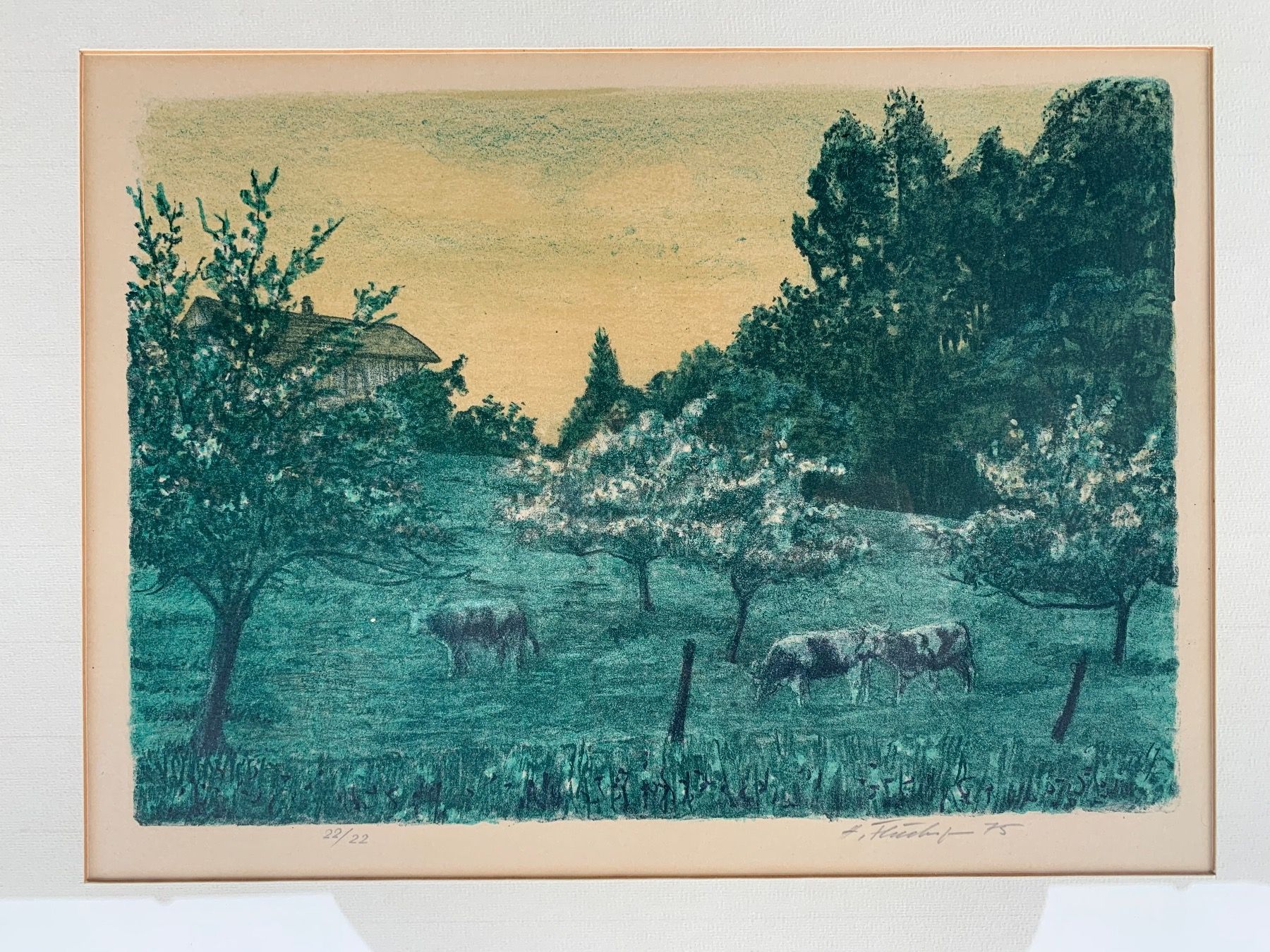 Campanacci mucche: schöne Lithographie von Hansjörg Flückiger – Usato da Feldbach venduto da Olive1 2
