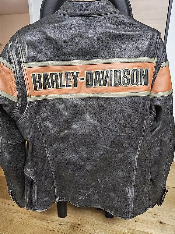 Giacche: Harley Davidson, Lederjacke – Usato da Neuenegg venduto da mak_rq67 1