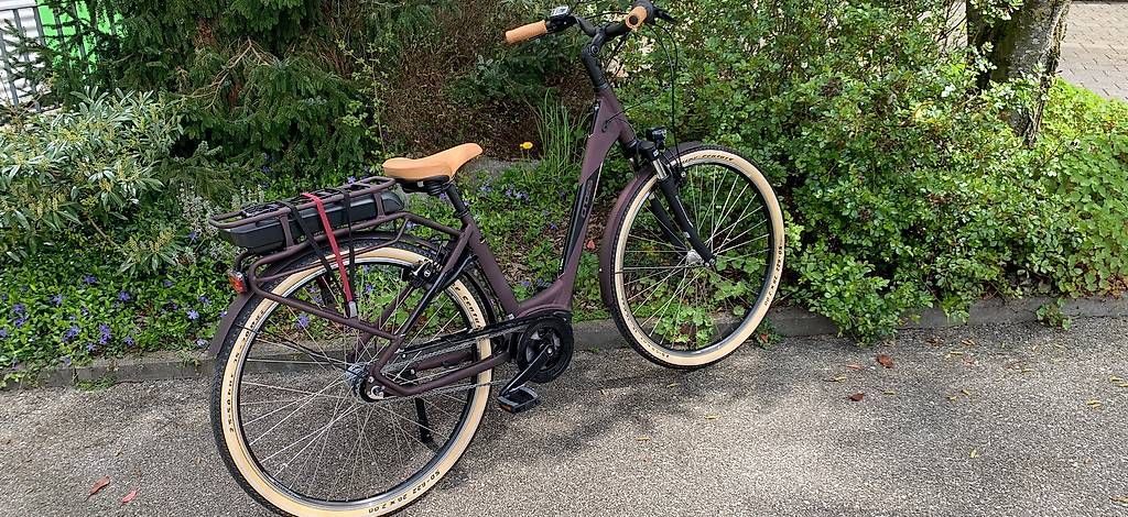 Vélos: E-Bike Cross – D'occasion à Lyssach par Hoferbike