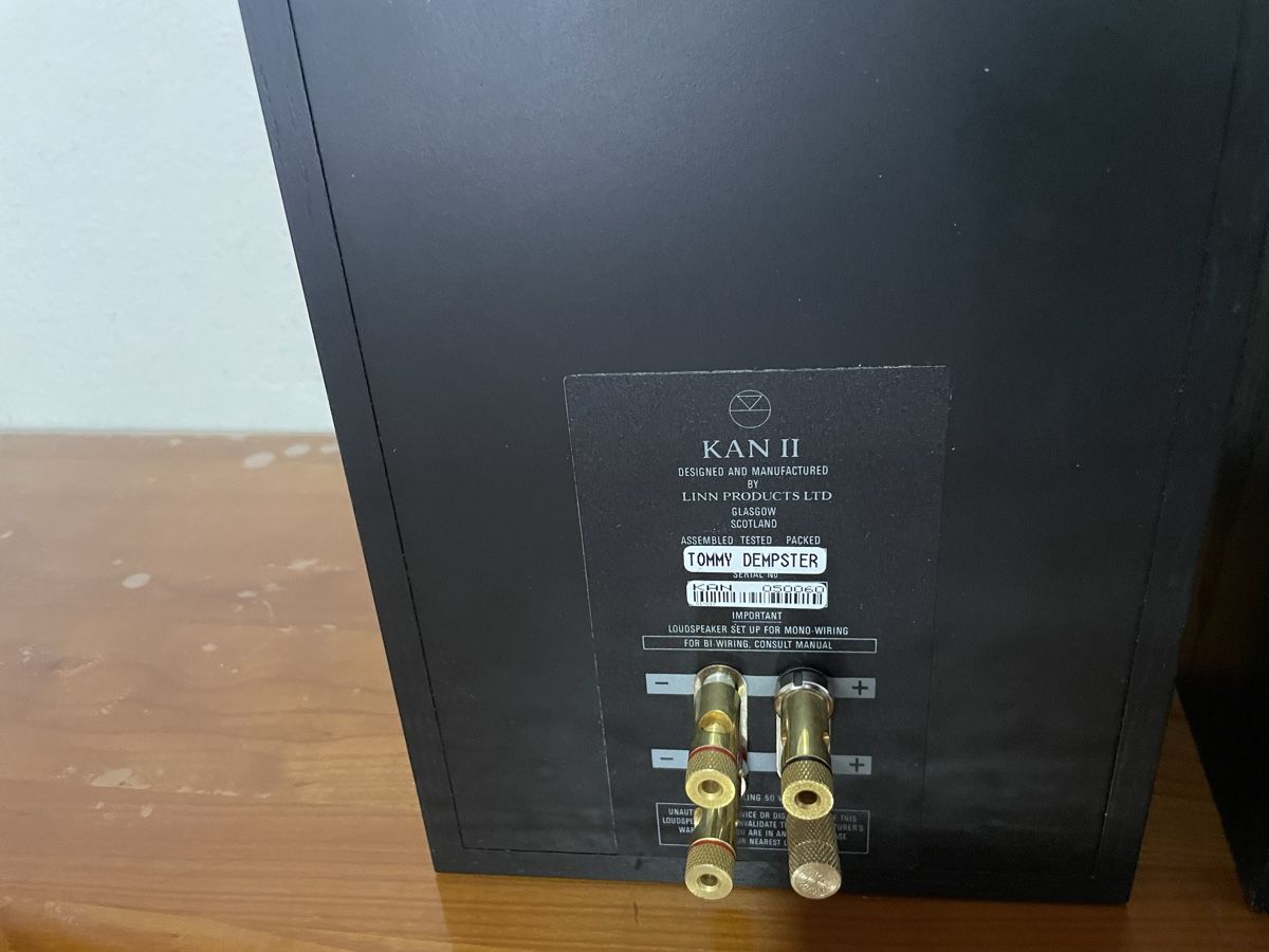 Linn Lautsprecher: Linn KAN II High End Lautsprecher – Gebraucht aus Zürich von semi16 4