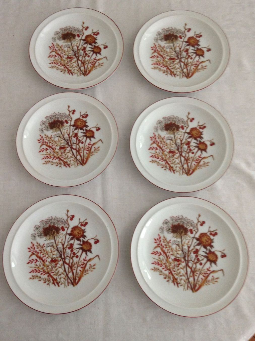 Piatti: Bramble Fancy Floral Collection 6 Teller – Nuovo e nell'imballaggio originale da Zürich venduto da loriana