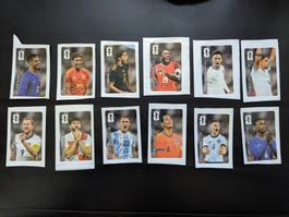 12 Coca-Cola Panini FIFA WM 2026 Sticker komplett
