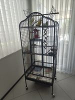 Vogelkfig mit Zubehör + 4 Welensiticher
