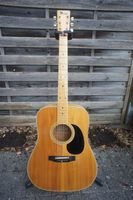 Ibanez Concord 699