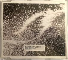 KINGS OF LEON - USE SOMEBODY