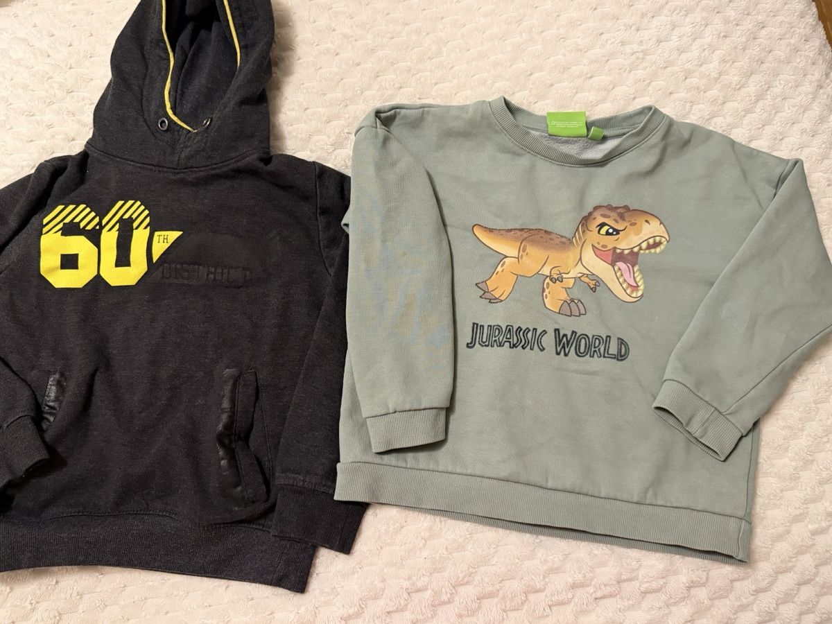 Lotti & Set di vestiti: Lot de 2 pulls garçon : 1 sweat à capuche + Jurassic World – Usato da La Chaux-de-Fonds venduto da Sabinchenn