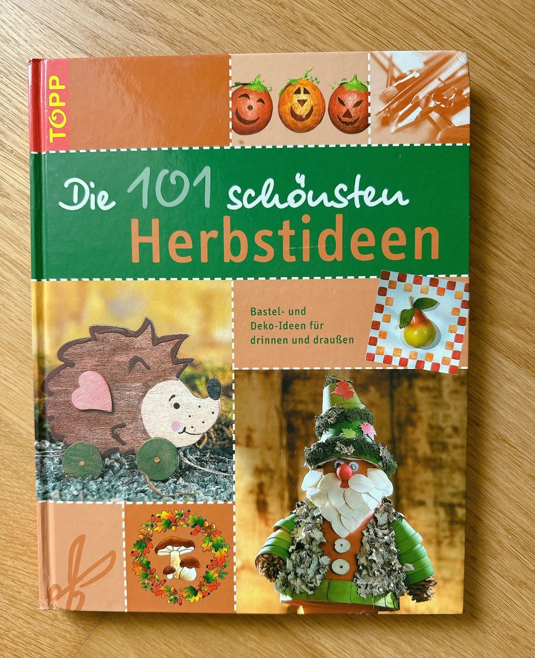 Libri: Bastelbuch 101 schönste Herbstideen – Usato da Muttenz venduto da denise06