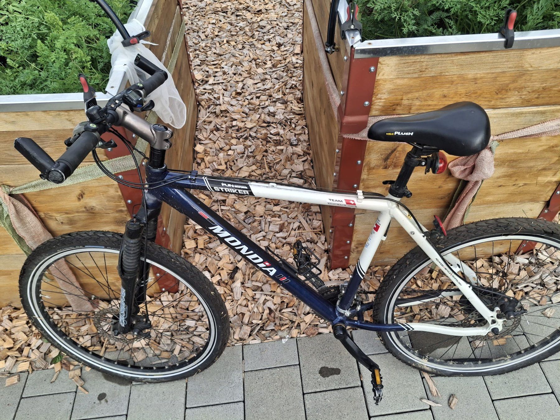 Mondia Biciclette: Mondia Future Striker Mountainbike – Usato da Zeglingen venduto da _CraZy_AngeL 4