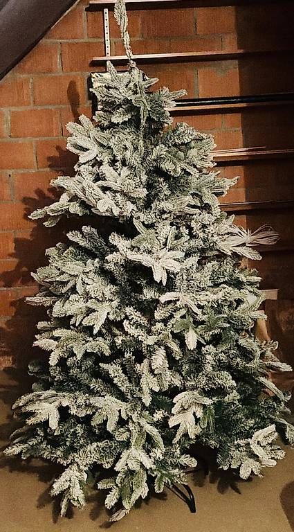 Toutes les décorations: Weihnachtsbaum - – D'occasion à Steckborn par fra_zpg9