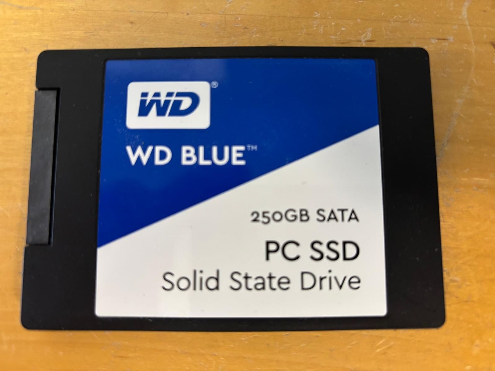Western Digital Dischi rigidi: WD Blue PC SSD 250GB – Usato da Zürich venduto da HarlacherIT