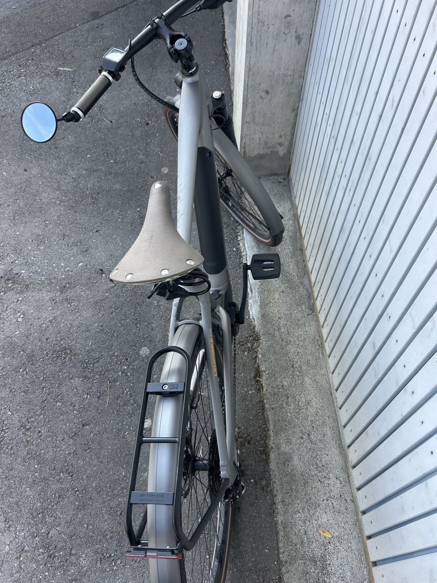 Cresta Biciclette: E-Bike Cresta eCorso Neo – Usato da Obstalden venduto da lor_2rfb 3