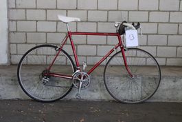 Velo 13