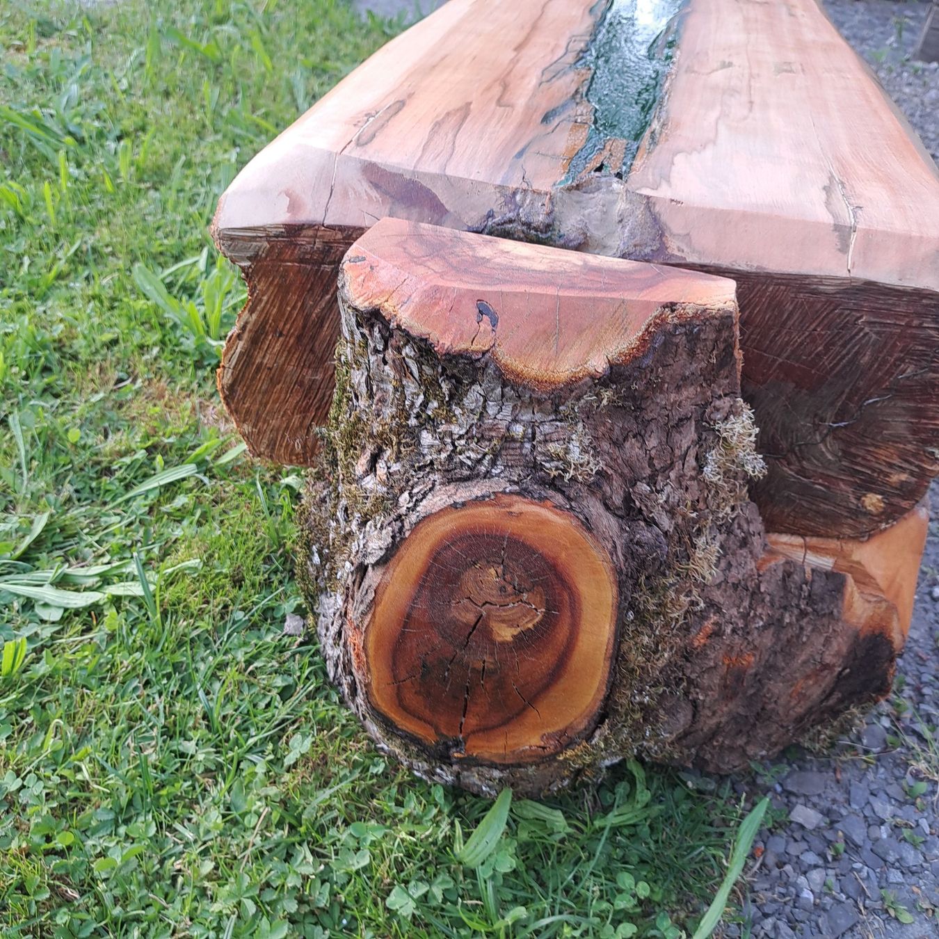 Bänke: baumbank  apfel – Neu (gemäss Beschreibung) aus Benzenschwil von 007tinu 9