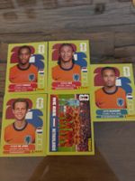 Panini NED