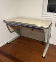moll Kinder-/Jugend Schreibtisch Top Zustand!
