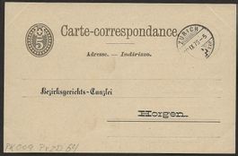 1876 HORGEN Bezirksgericht uralte Ganzsache Privat Aufdruck