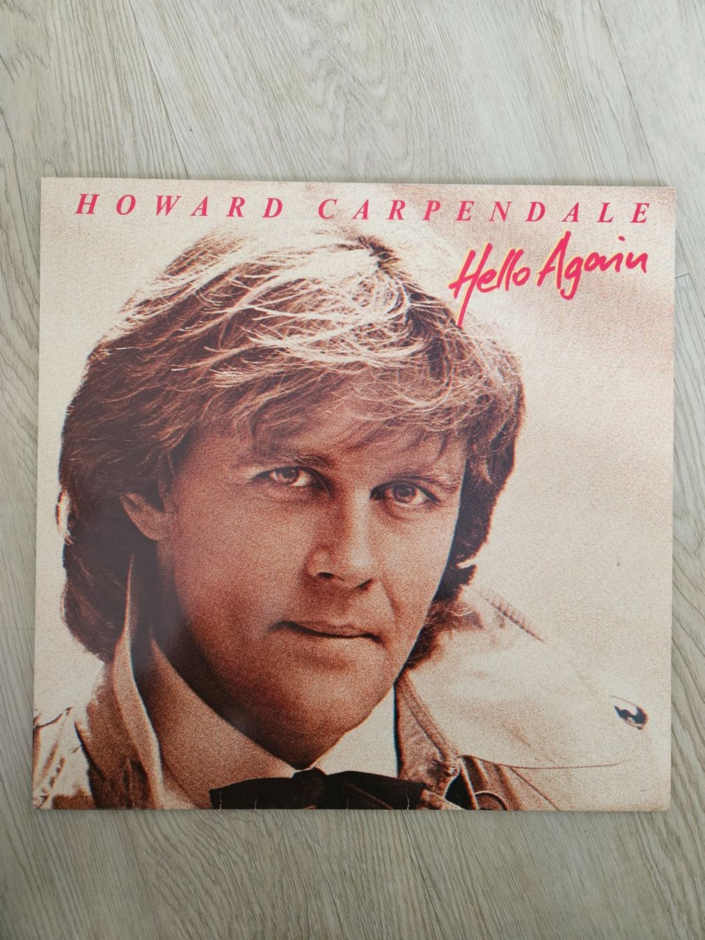 Dischi in vinile: Howard Carpendale Schallplatte Vinyl – Usato da Wattwil venduto da Belinda98