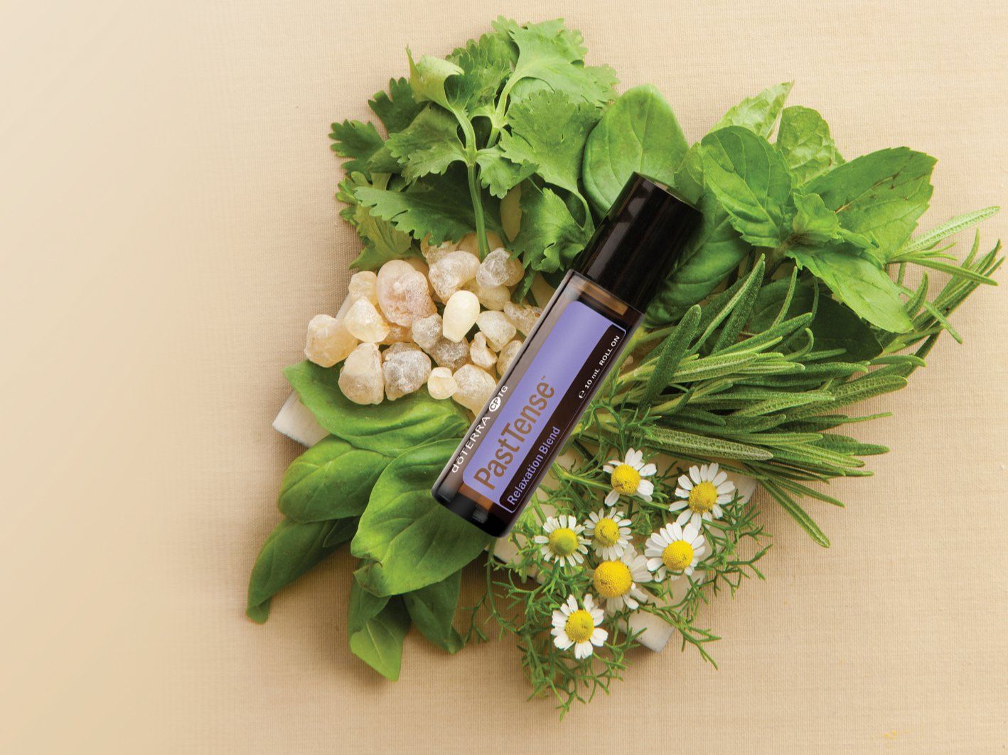Doterra Altro in Massaggi: doTERRA PastTense Touch 10 ml – Nuovo e nell'imballaggio originale da Olten venduto da Duft-Atelier-Schweiz