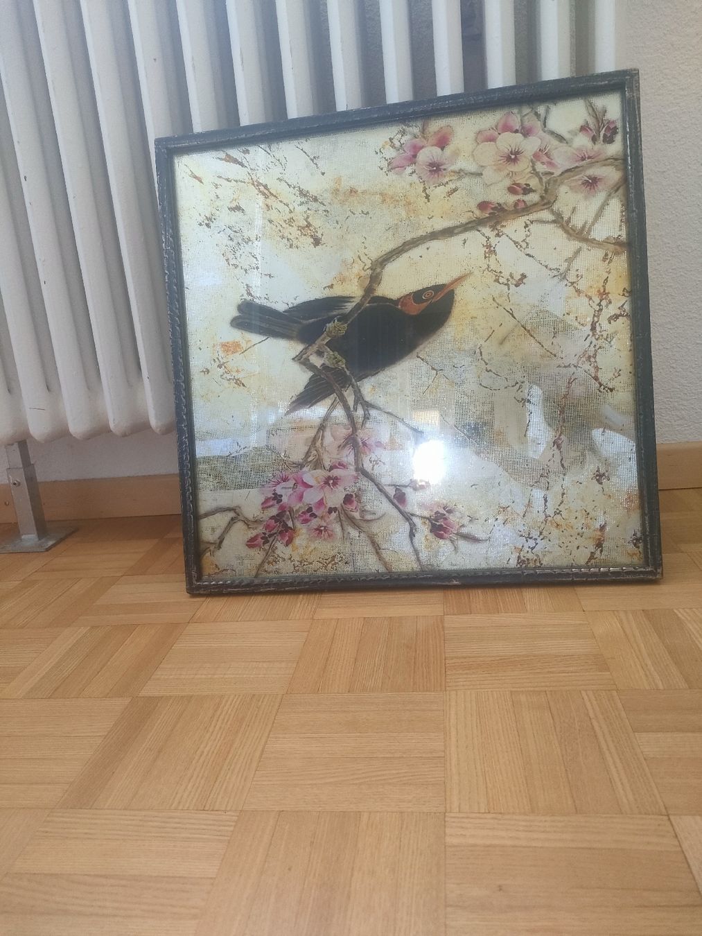 Foto & Immagini: Schönes Bild – Nuovo (secondo la descrizione) da Langenthal venduto da rit_7ygk