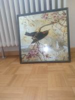 Schönes Bild