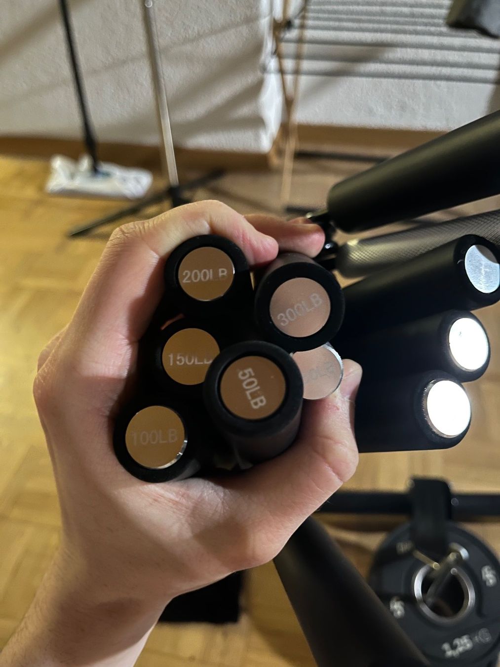 Hometrainer: (USED) ULTIMATE Forearm Training set – Usato da Rüti ZH venduto da pet_tdz9 2