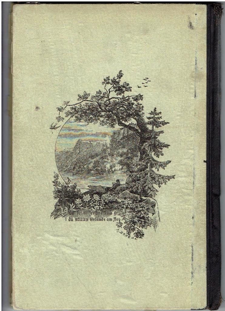 Libri: Schweizer Geographie, 1898 – Usato da Flims - Dorf venduto da Stagediver 6