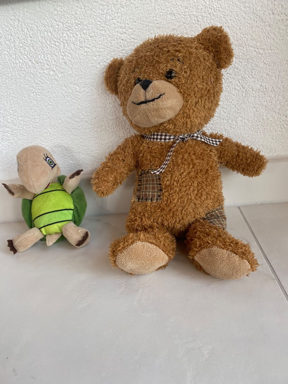 Spielzeuge: Bär und Turtle – Gebraucht aus Wagen von 20Ricola18 2