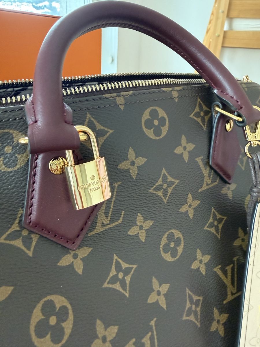 Louis Vuitton Borse da donna: Louis Vuitton Speedy Soft – Usato da Rebstein venduto da gad_gz8q