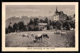AK Menzingen, Schloß Schwandegg mit dem Säntis