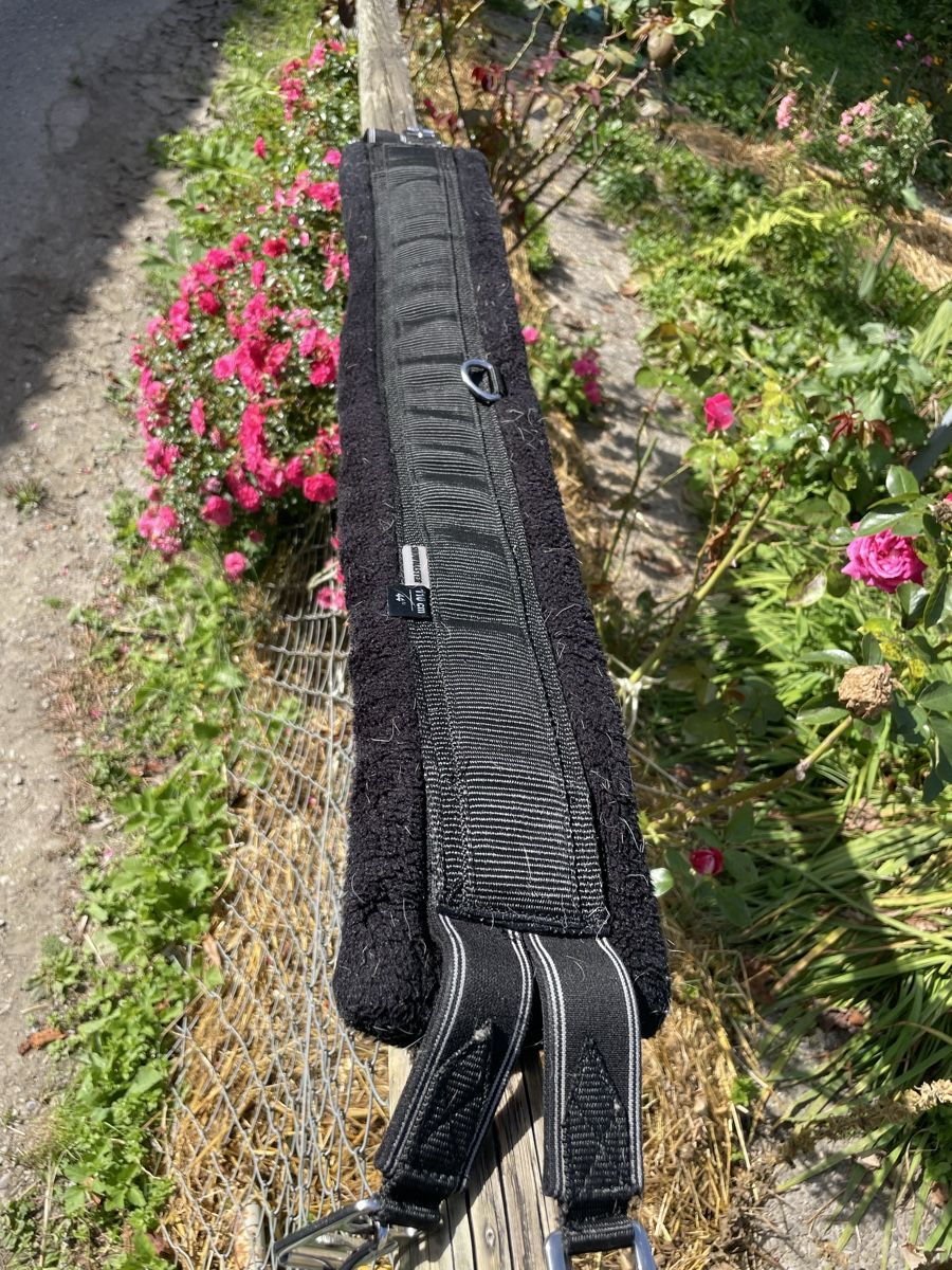 Selle & Accessori: Schwarzer Langgurt von Showmaster, 110 cm, neuwertig – Usato da Ortschwaben venduto da JeepOverland