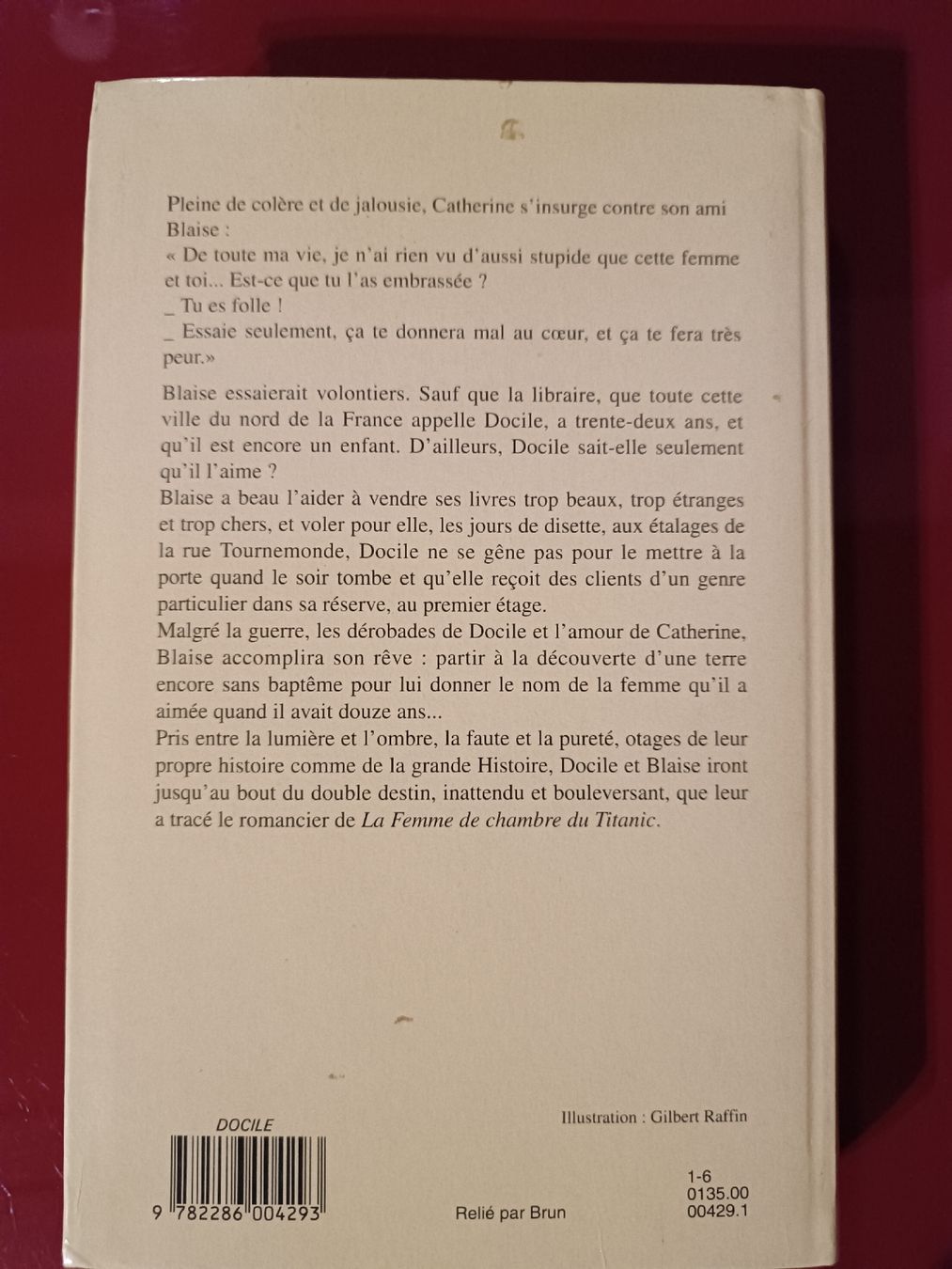 Libri: Docile - Didier Decoin - Roman – Nuovo (secondo la descrizione) da Cornaux NE venduto da Mimi983 1