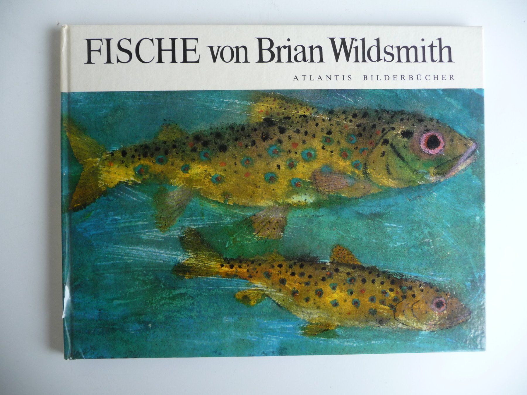 Libri: BRIAN WILDSMITH - FISCHE, ANTIKES KINDERBUCH – Usato da Aesch BL venduto da Imoonlight