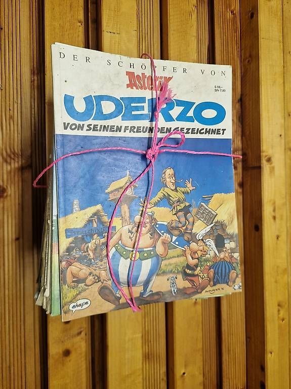 Fumetti: Asterix und Oblix – Usato da Wyssachen venduto da V12000 1
