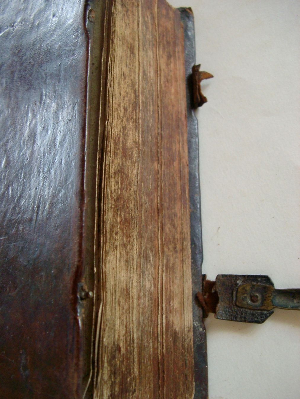 Bücher: Das himmlische Vergnügen in Gott, oder vollständiges Gebett – Gebraucht aus Winkel von Gallica 1