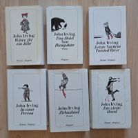 6x Romane John Irving, Diogenes