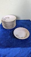 Langenthal Suppenteller 12er Set tief Blumen Ø 21cm
