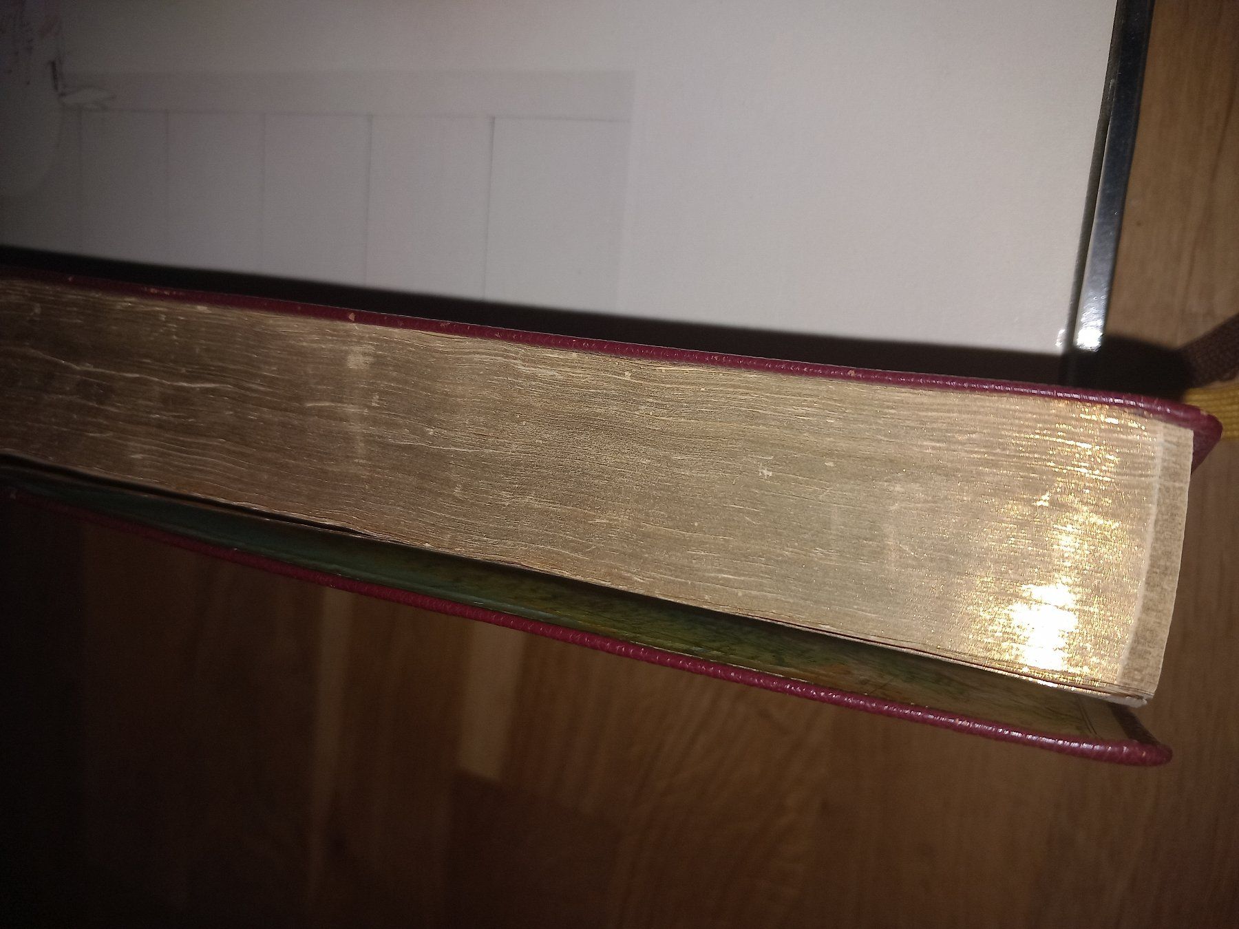 Libri: Die Bibel mit Goldrand – Usato da Maschwanden venduto da summernight7 1