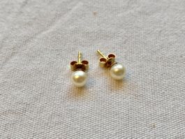 Hochwertige Shibota Pearls Perlen-Ohsrtecker, 750 Gold