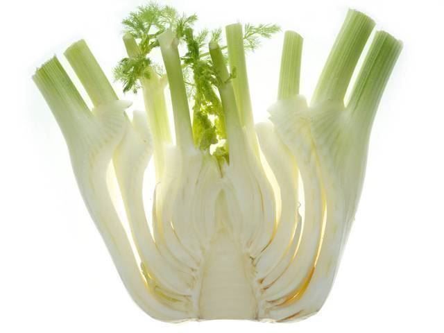 Pflanzen & Samen: FENOUIL CRYSTAL  30g – Neu (gemäss Beschreibung) aus Bremblens von FIBONACCI369 1