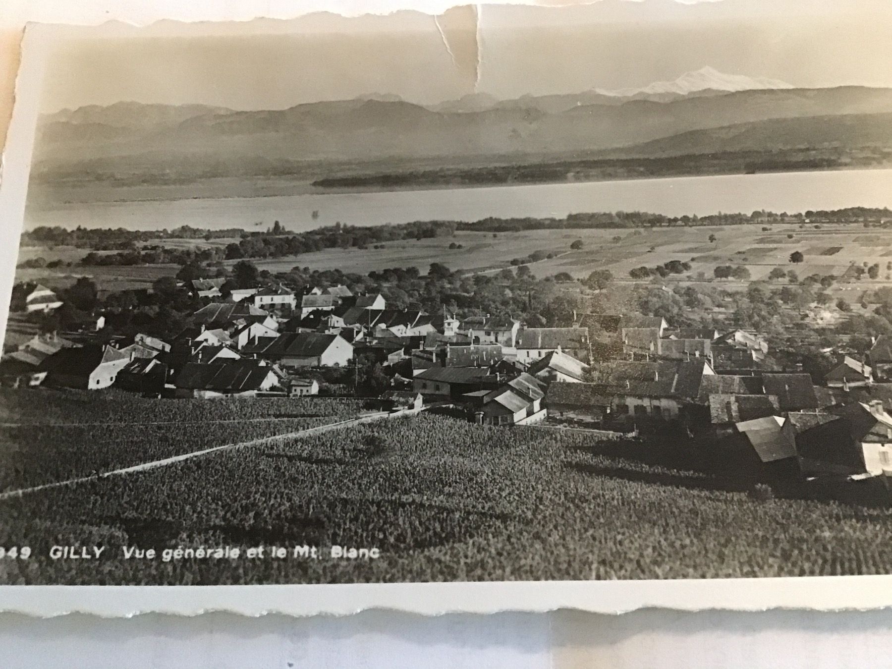 Cartoline postali: Gilly – Usato da Thierachern venduto da sweden08