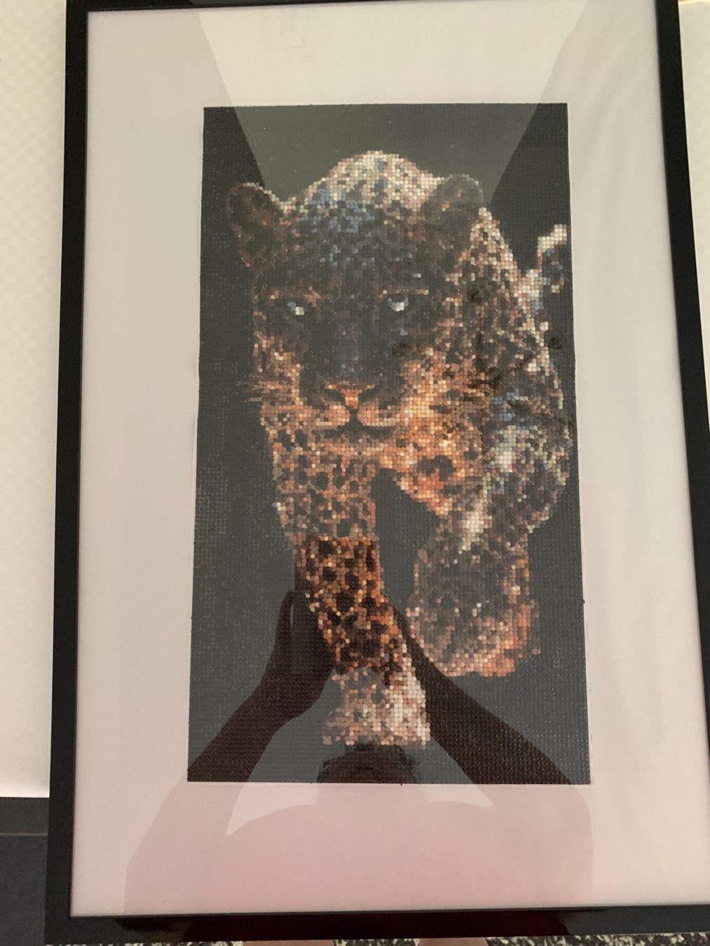 Foto & Immagini: Ausdrucksstarkes Tierbild – Nuovo e nell'imballaggio originale da Niederwangen BE venduto da gerberso