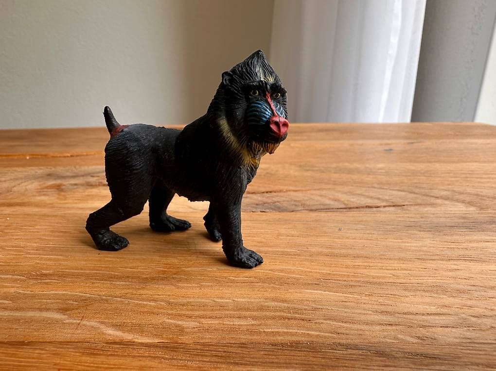 Schleich Statuette: Schleich Mandrill – Usato da Abtwil SG venduto da nur_6nx6 1