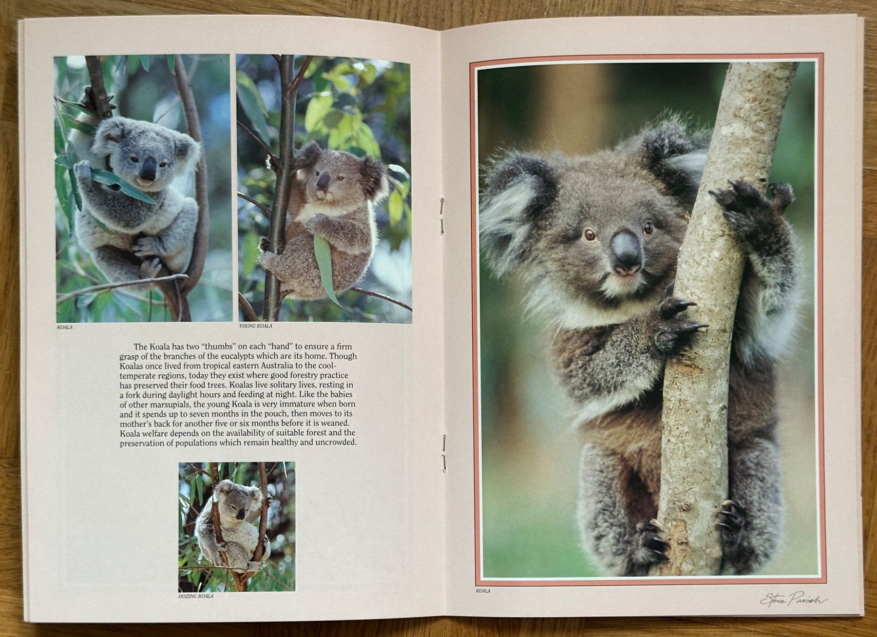 Bücher: Heft, Büchlein AUSTRALIEN, WILDLIFE – Neu (gemäss Beschreibung) aus Reinach BL von Sdruefenacht 2
