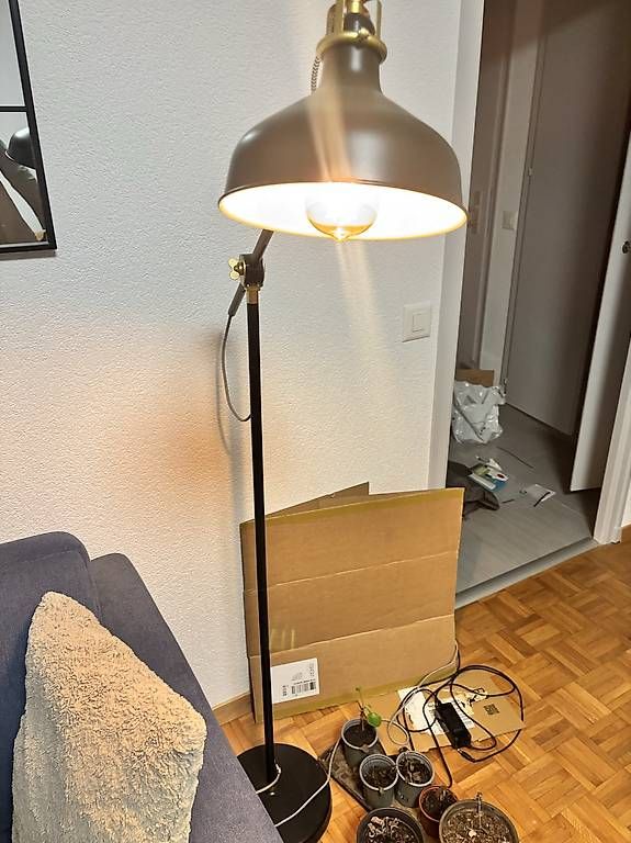 Ikea Lampade: IKEA Ranarp lampe à pied – Usato da Prilly venduto da ant_s85b 2
