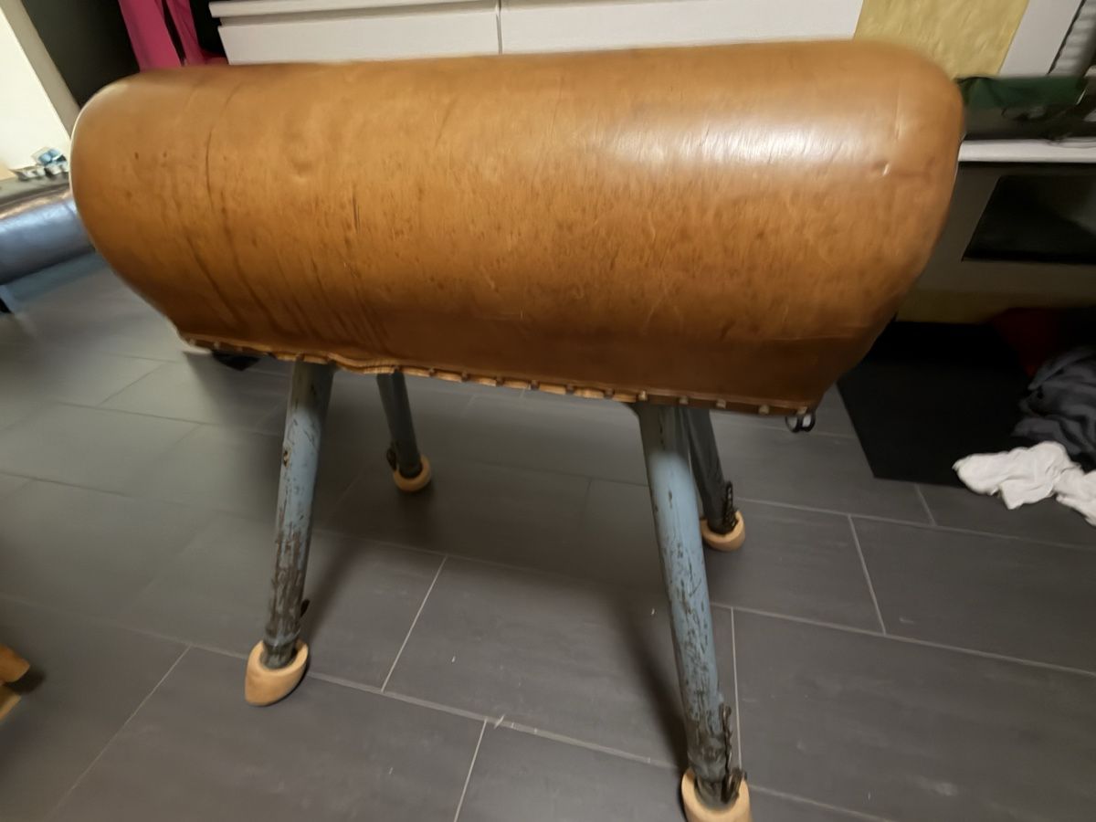 Alder+Eisenhut Hometrainer: Sprungbock – Usato da Schneisingen venduto da hornet17