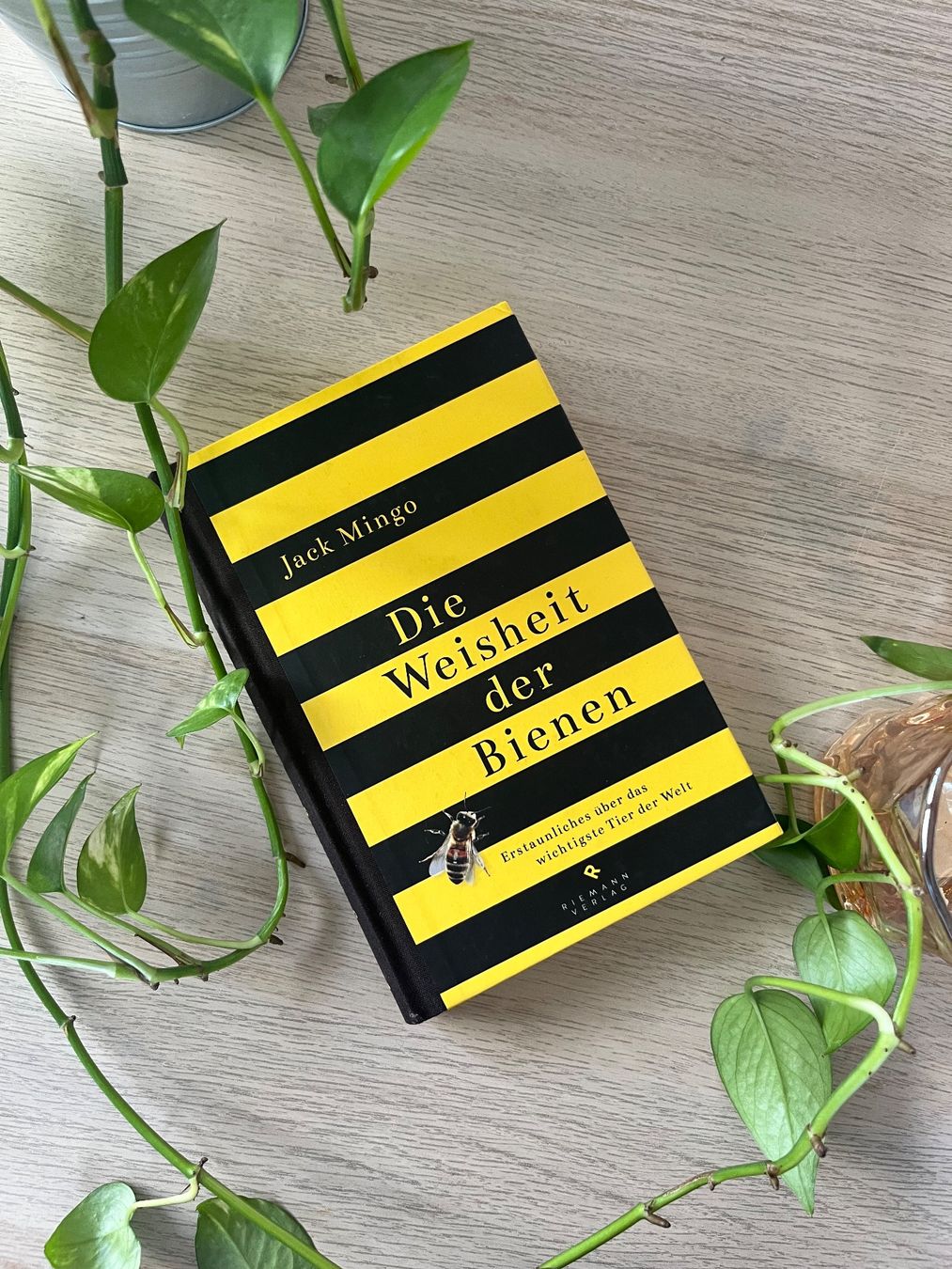 Bücher: Die Weisheit der Bienen - Jack Mingo – Gebraucht aus Zürich von han_xmj8