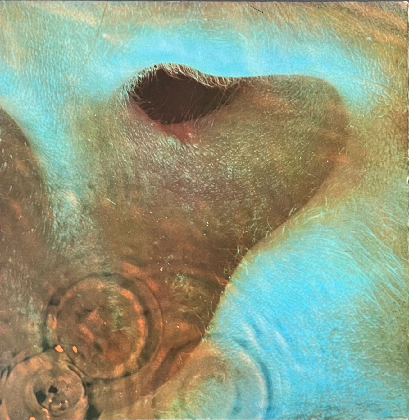 Dischi in vinile: PINK FLOYD -  MEDDLE  /  Vinyl - LP – Usato da Horw venduto da Belowzero0