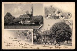 AK Allmendingen, Märchligen, Villa mit Garten