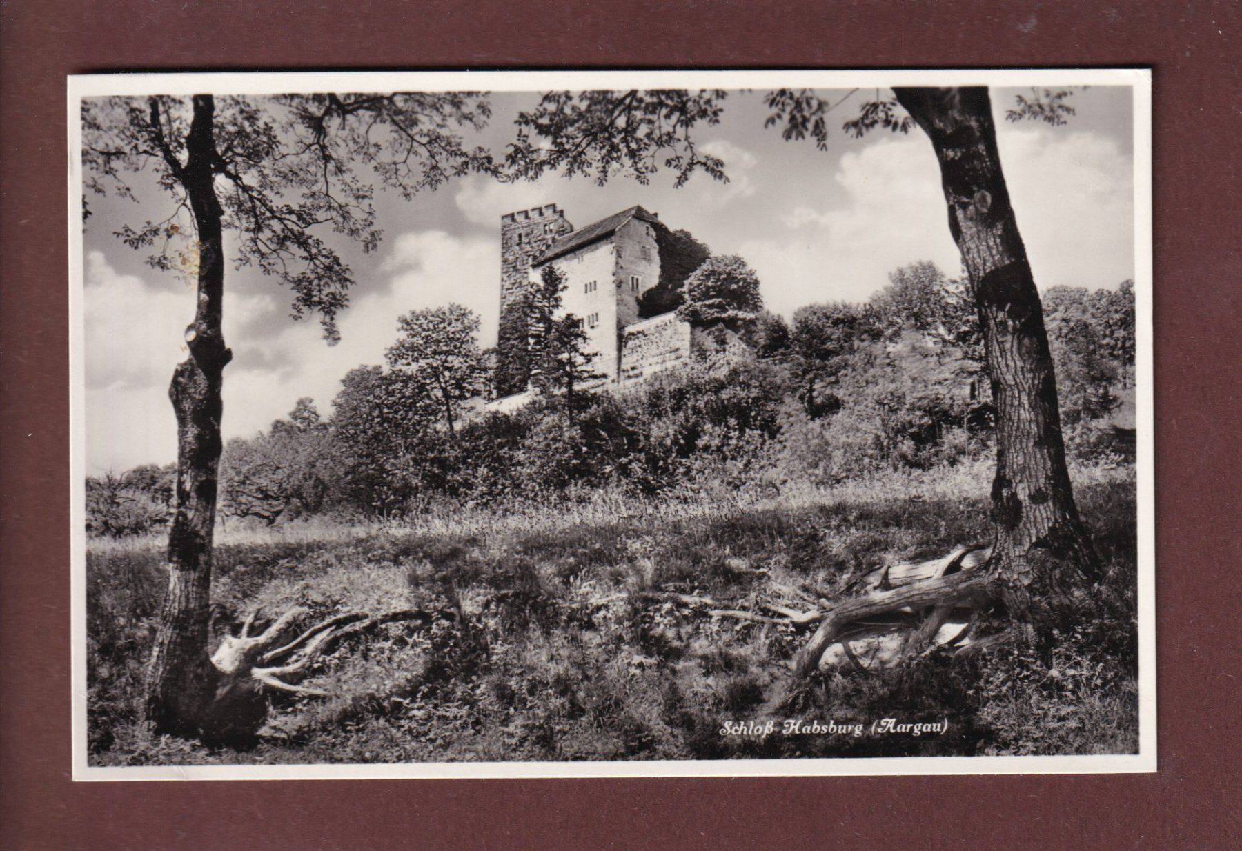 Cartoline postali: SCHLOSS HABSBURG // Eckbug // – Usato da Pully venduto da nicecards