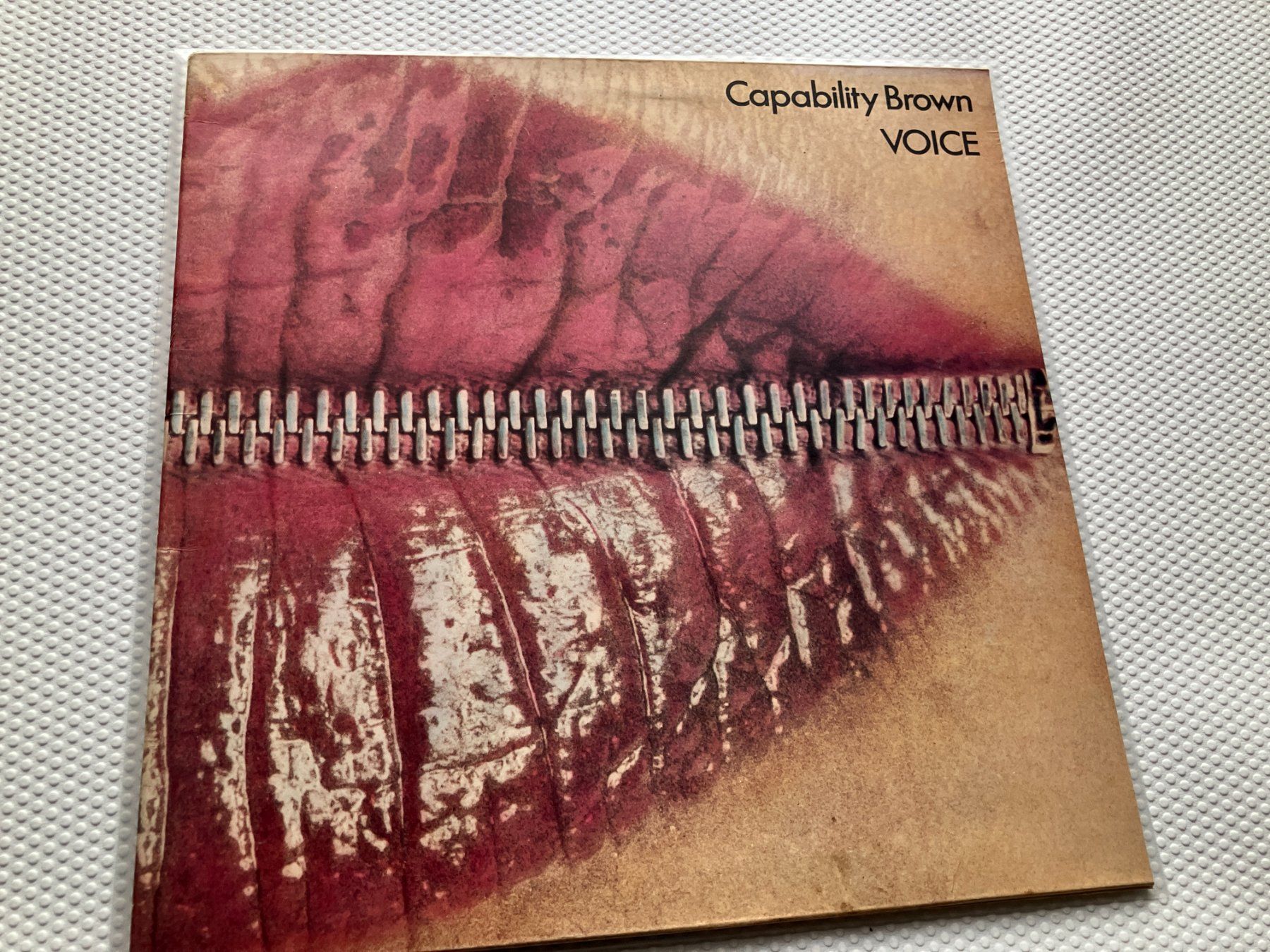 Dischi in vinile: Capability Brown – Usato da Aarwangen venduto da Jukebox3